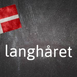 #Dänisches #Wort #Des #Tages #Langhåret